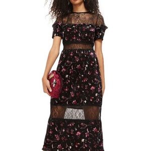 TopShop Floral Velvet and Lace Dress